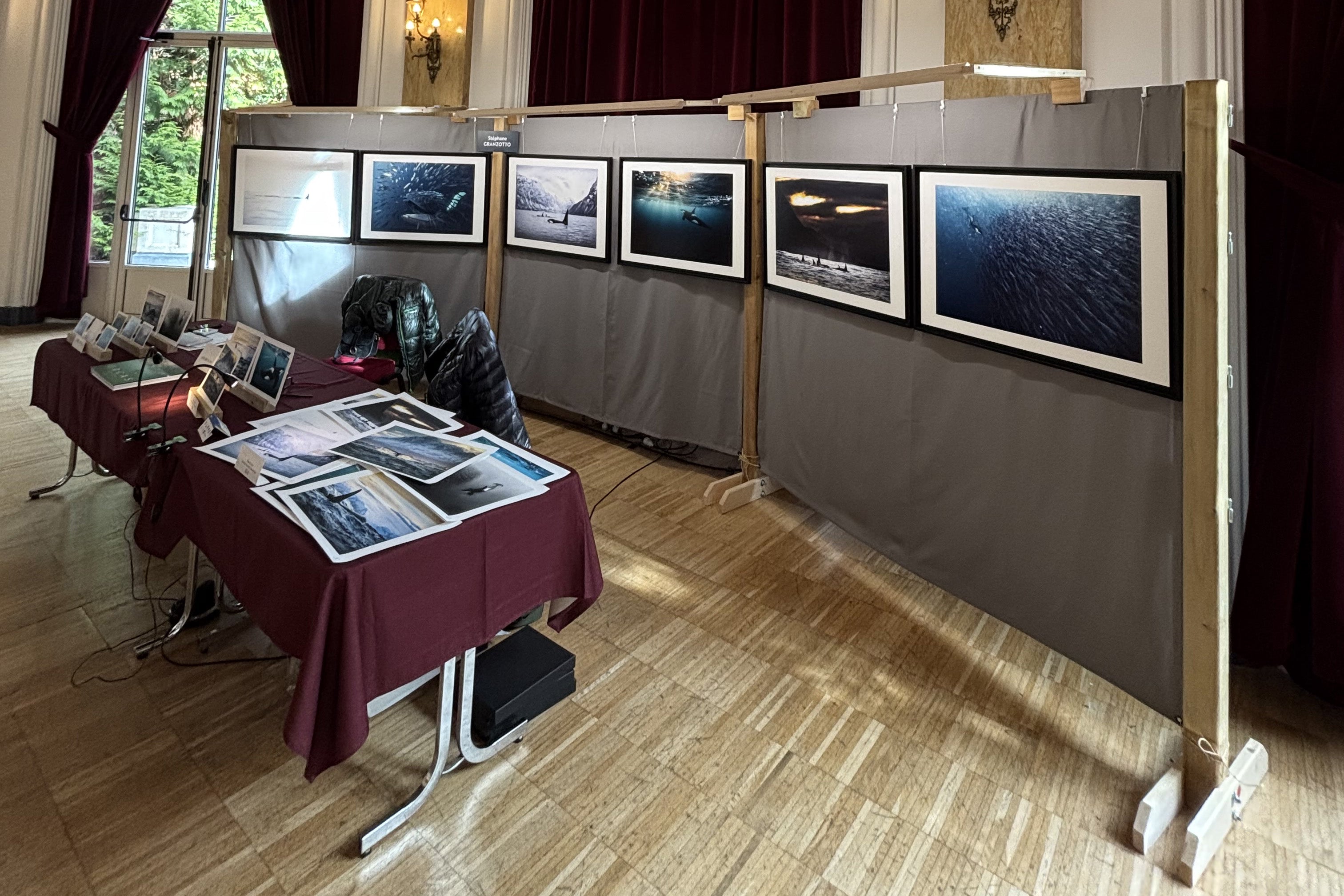 Quand les fjords rencontrent les Alpes : exposer Orcas à Chamonix