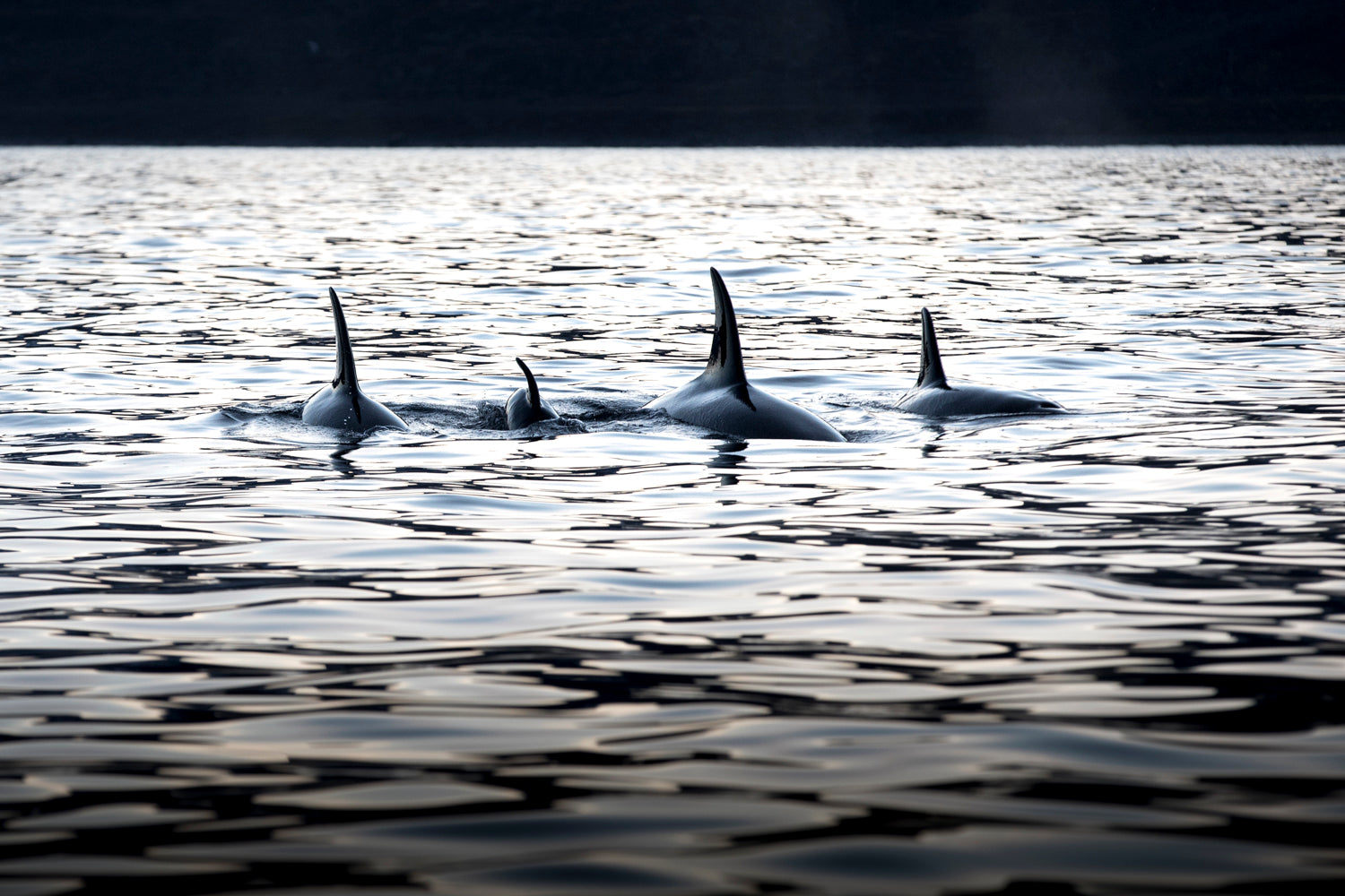 The end of the day...